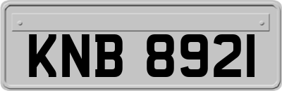 KNB8921