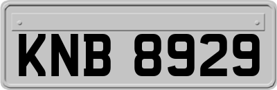 KNB8929