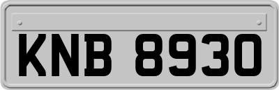 KNB8930