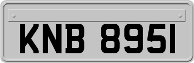 KNB8951