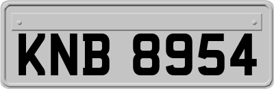 KNB8954