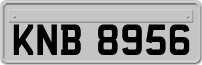 KNB8956