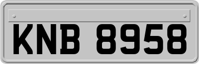 KNB8958