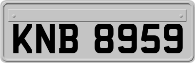 KNB8959