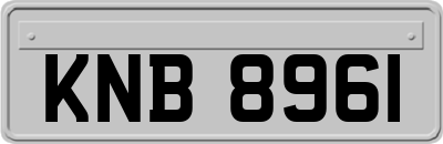 KNB8961