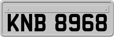 KNB8968