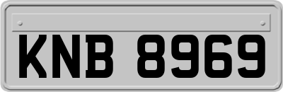 KNB8969