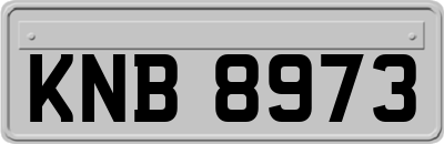 KNB8973