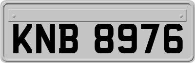 KNB8976