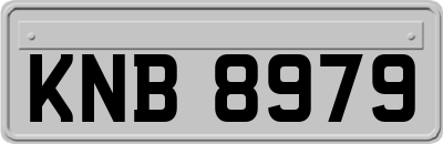 KNB8979