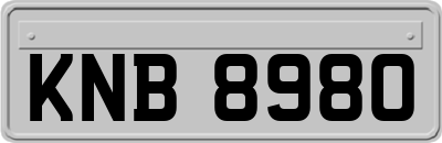 KNB8980