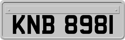 KNB8981