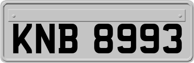 KNB8993