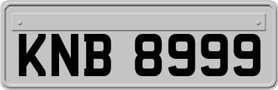 KNB8999