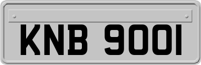 KNB9001