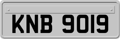 KNB9019