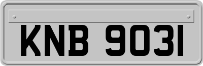 KNB9031