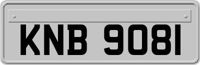 KNB9081