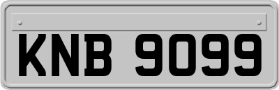 KNB9099