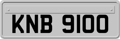 KNB9100