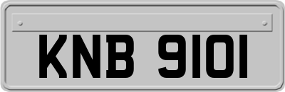 KNB9101