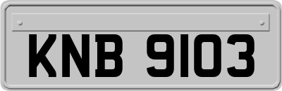 KNB9103