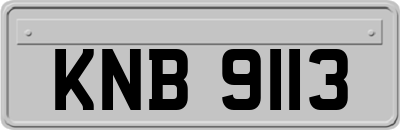 KNB9113