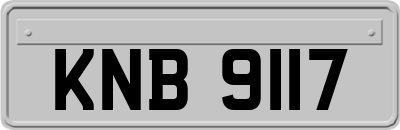 KNB9117