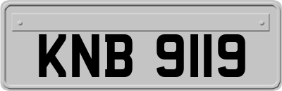 KNB9119