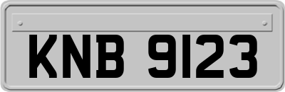 KNB9123