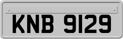 KNB9129