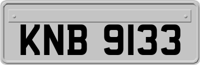 KNB9133