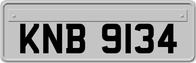 KNB9134