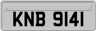 KNB9141