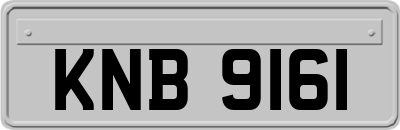 KNB9161