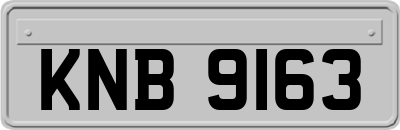 KNB9163