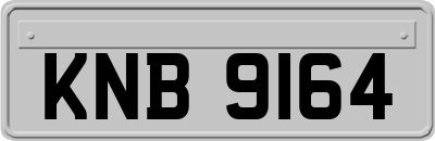 KNB9164