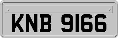 KNB9166