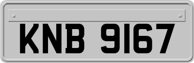 KNB9167