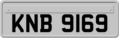 KNB9169