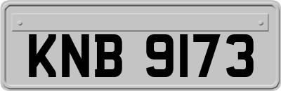 KNB9173