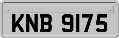 KNB9175