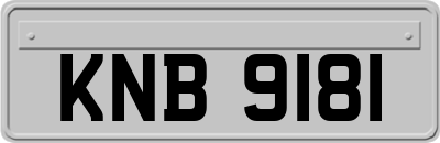 KNB9181