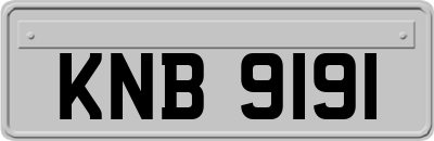 KNB9191