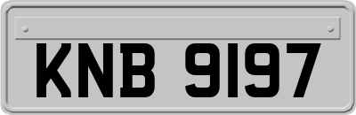 KNB9197