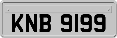 KNB9199