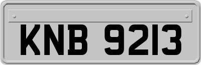 KNB9213