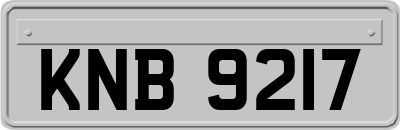 KNB9217