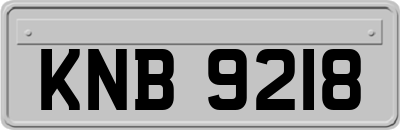 KNB9218