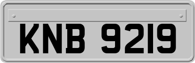 KNB9219